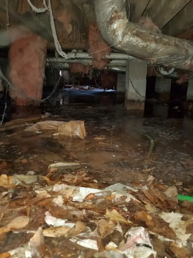 Crawl space flood assessment for Leak Detection & Repair in Rio Vista