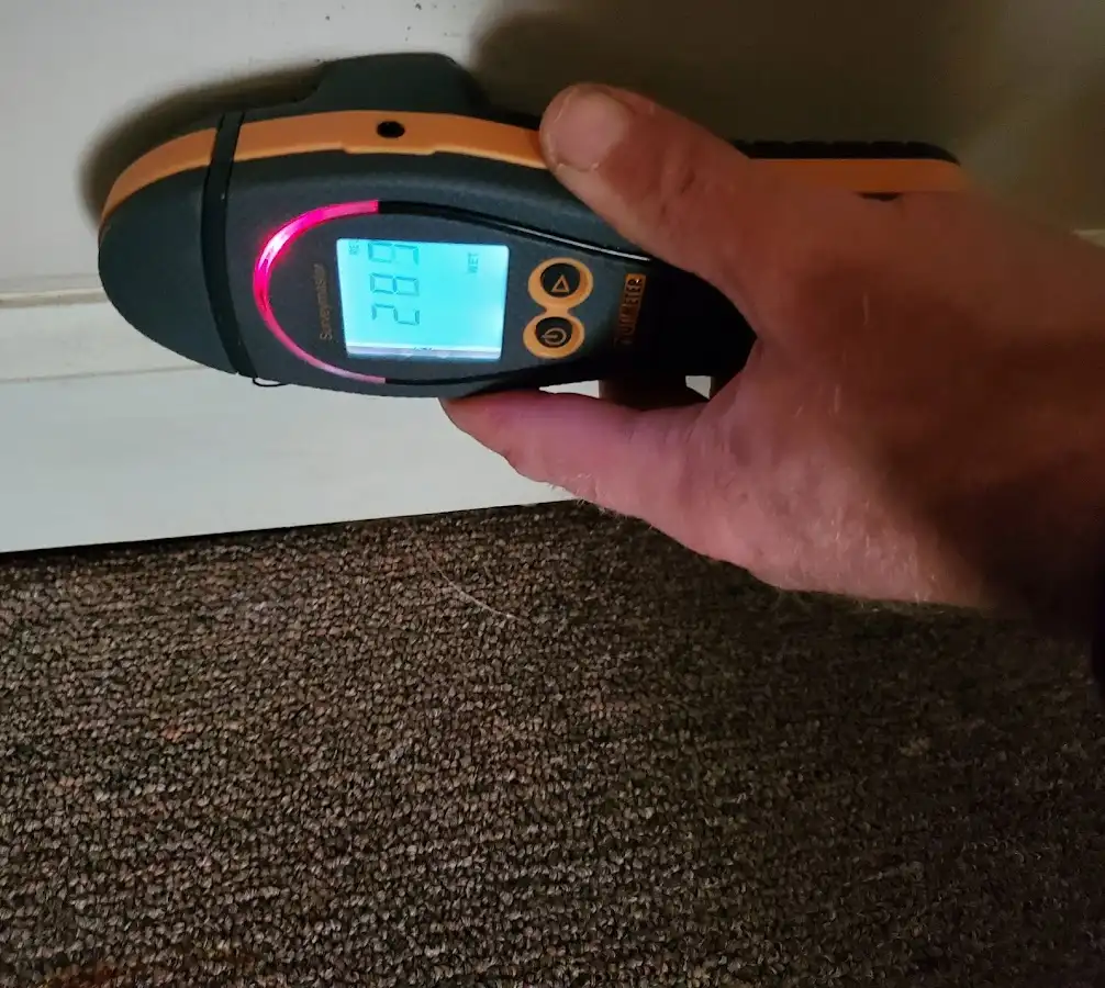 Moisture detection at baseboard during Mold Inspection & Testing in Rio Vista